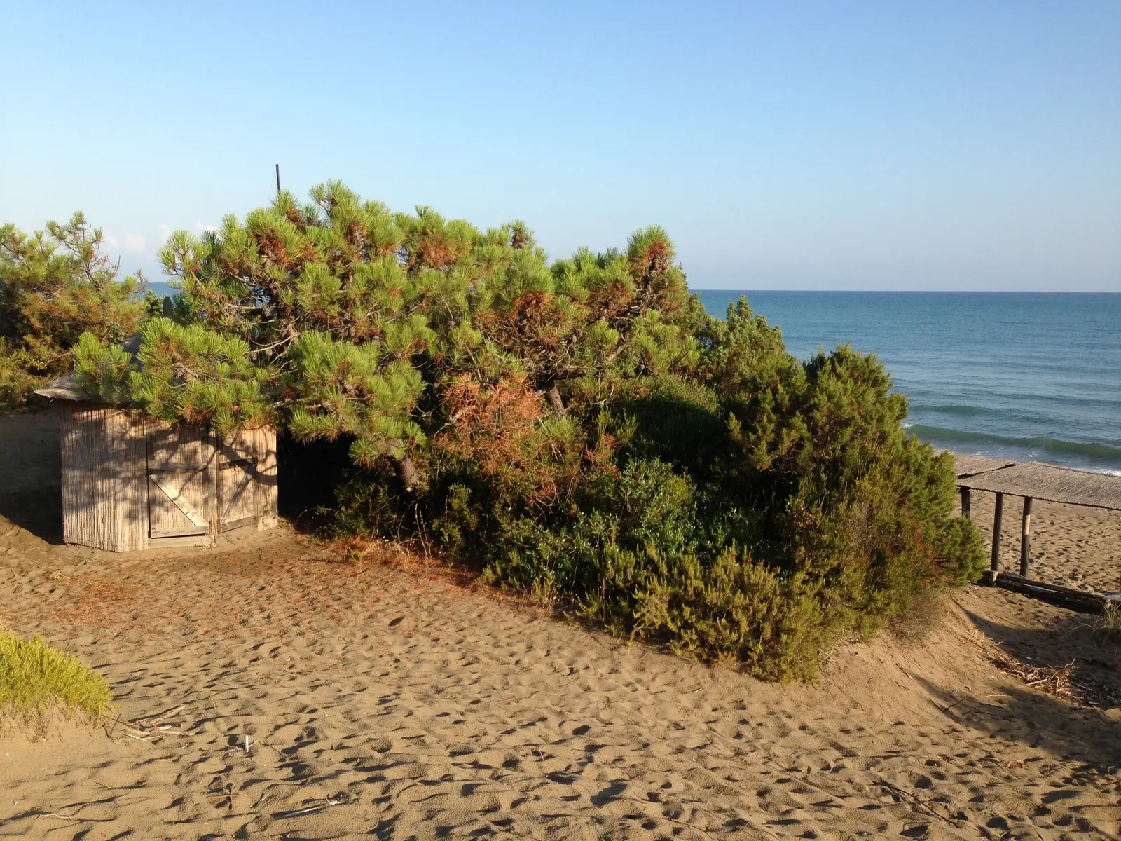 Spiaggia privata con capanno