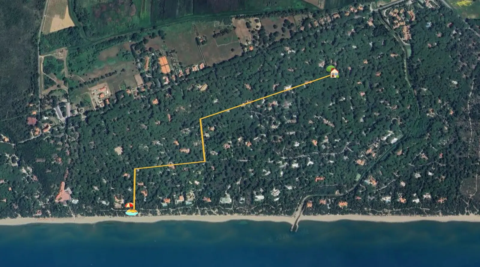 Percorso verso la spiaggia attraverso la pineta